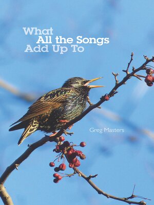cover image of What All the Songs Add Up To: Poems